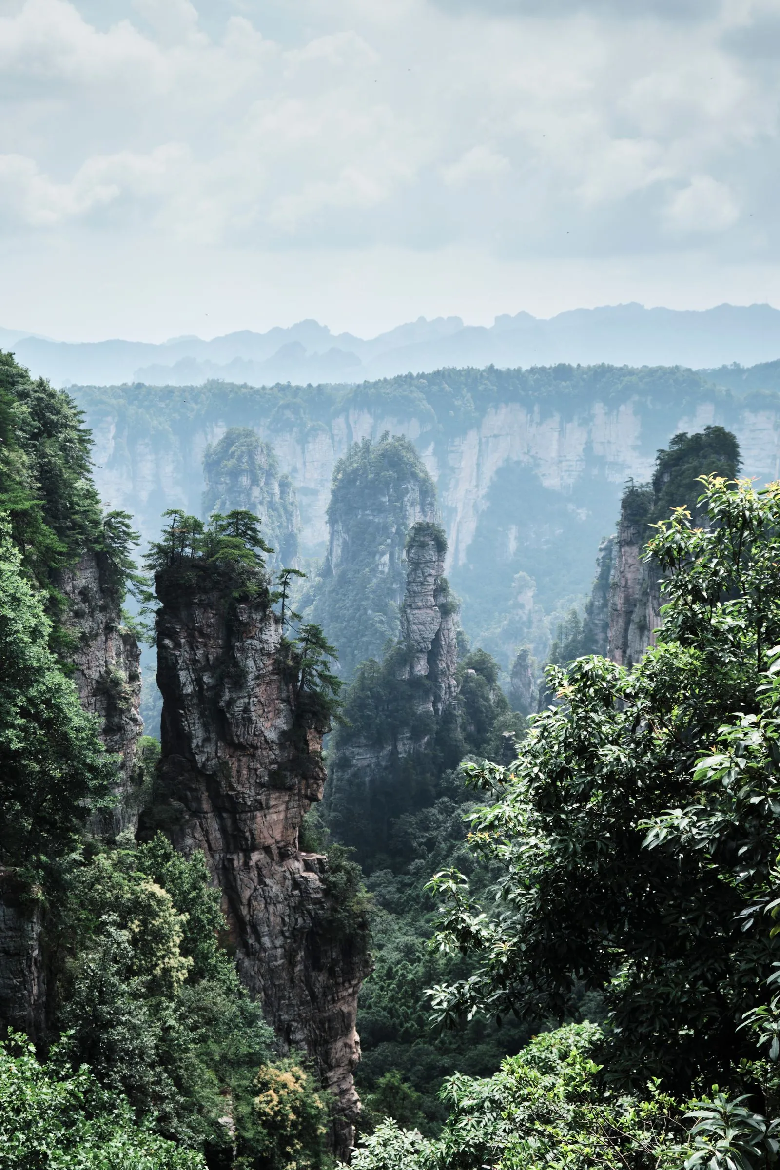 Zhangjiajie Avatar Mountains - National Forest Park