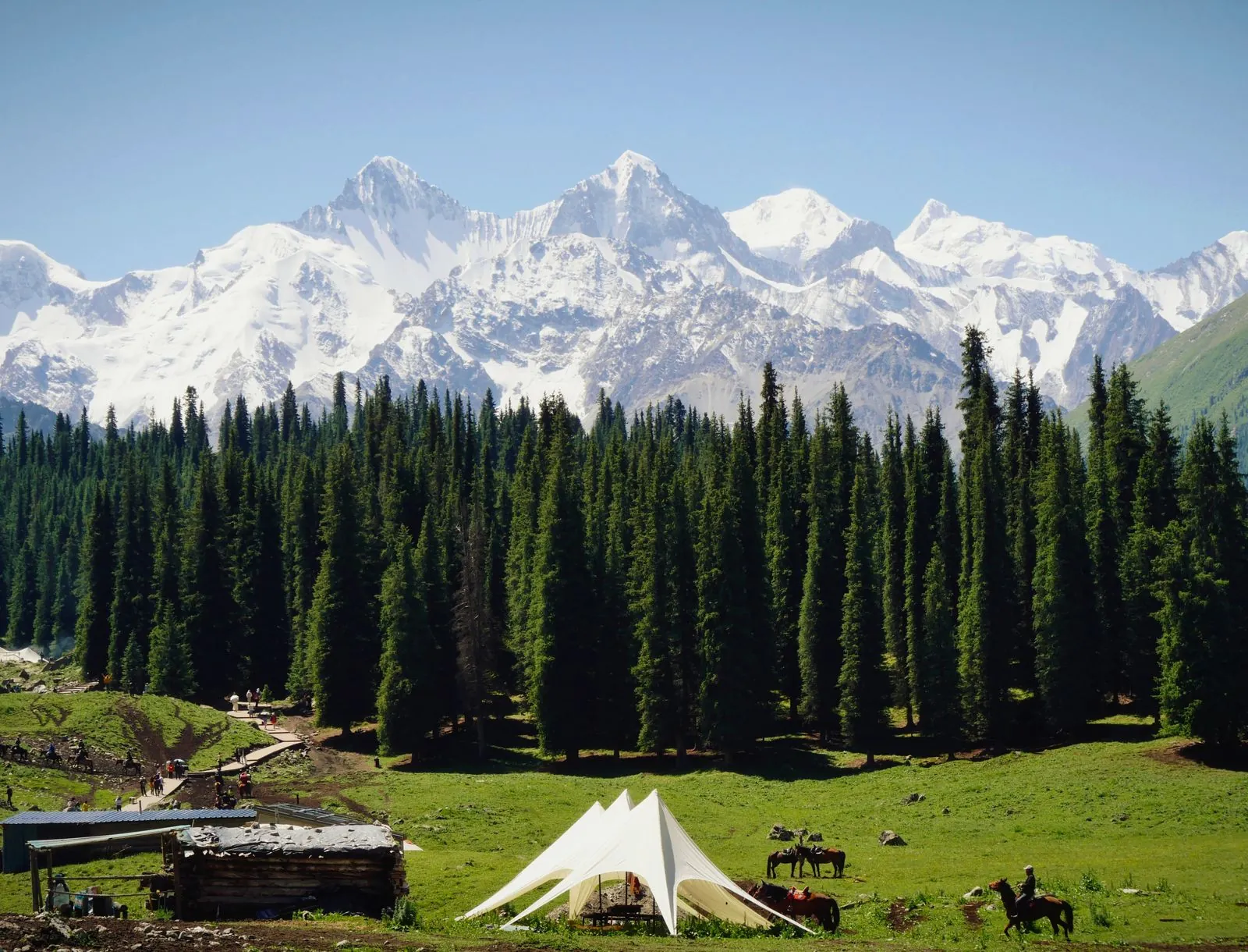 Snow-capped Tian Shan mountains and pine forest in Xinjiang