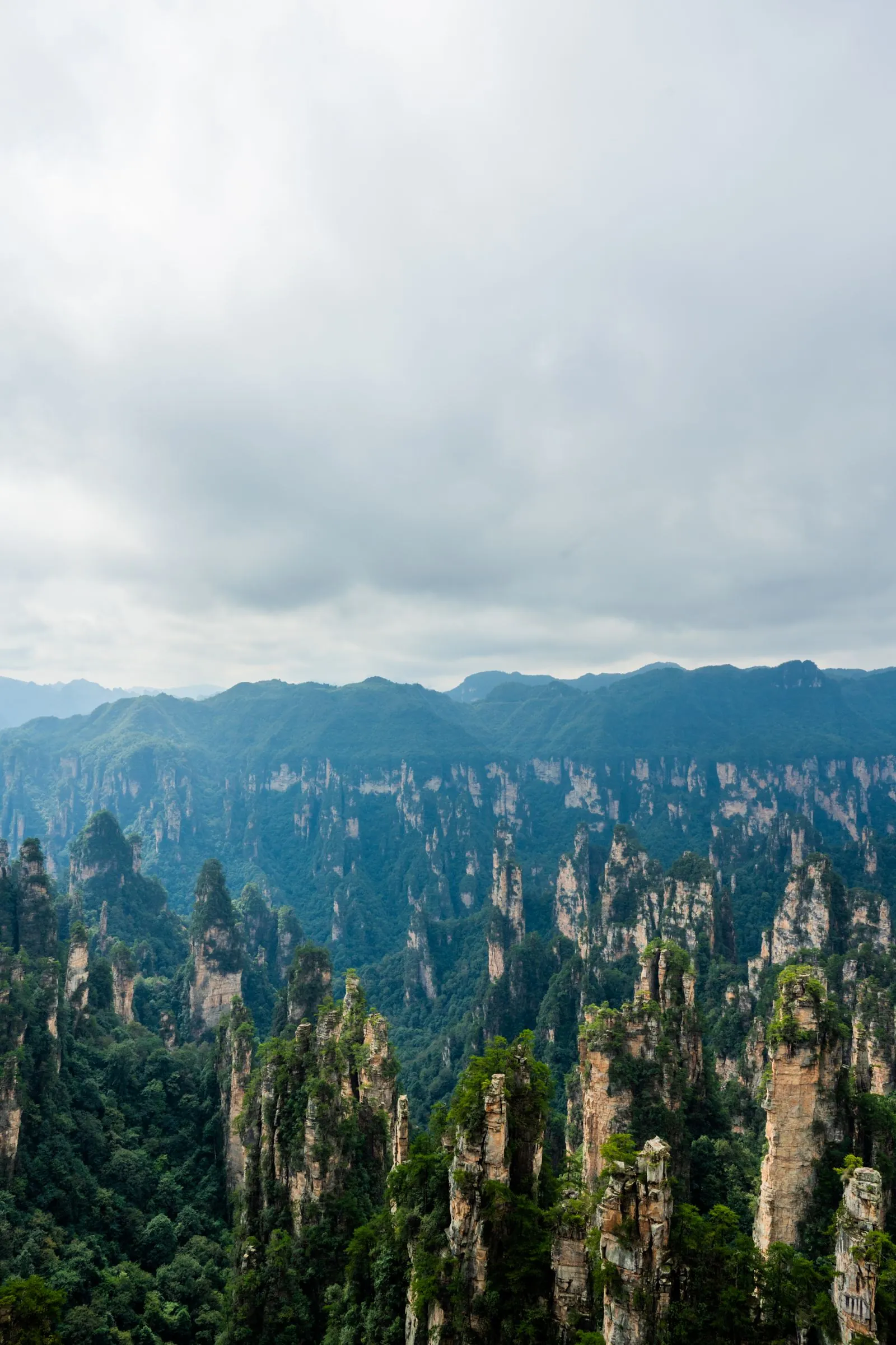 张家界悬浮峰林全景